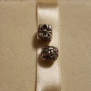 Pandora retired charms